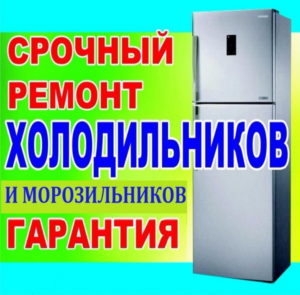 Срочный ремонт холодильников и морозильников банер